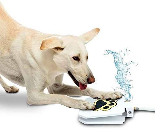Automatic Outdoor Dog Water Fountain Automatic Outdoor Dog Water Fountain