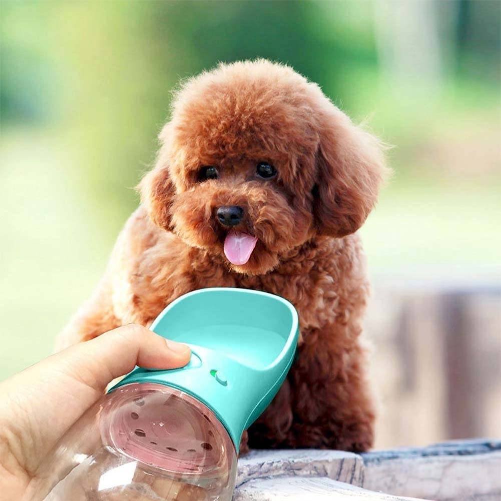 Portable Pet Water Bottle Portable Pet Water Bottle