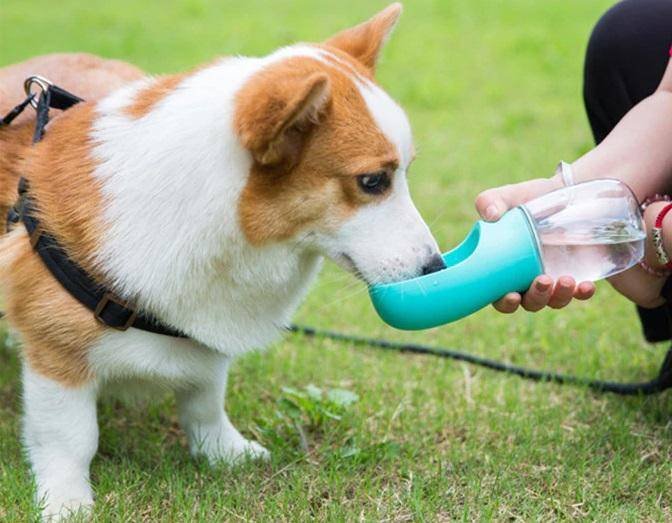 Portable Pet Water Bottle Portable Pet Water Bottle