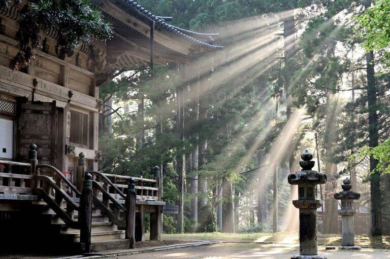 Roamer Wish Quick Guide: Discovering the Land of the Rising Sun: Essential Packing Tips for Your Journey to Japan https://roamerwish.com/quick-guide-discovering-the-land-of-the-rising-sun-essential-packing-tips-for-your-journey-to-japan/